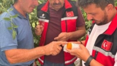 Aksaray İl Tarım ve Orman Müdürlüğü ekipleri inceleme çalışmaları kapsamında