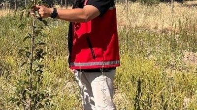 Aksaray Tarım ve Orman İl Müdürlüğü Bitkisel Üretim ve Bitki