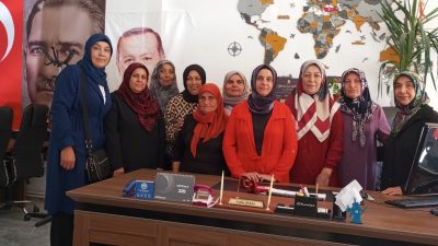 AK Parti Aksaray İl Kadın Kolları Başkanı Sultan Billur, Teşkilat