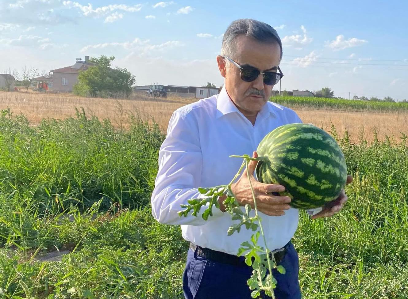 Aydoğdu, Aksaray Yenikent’te Amarat karpuz tarlasına girip karpuz kopardı, çiftçilere