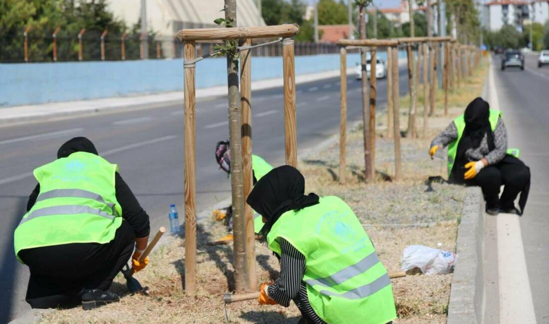 Aksaray Belediyesi, şehirde çevre düzeni ve estetik çalışmalara hız kesmeden