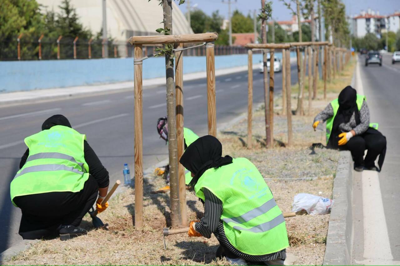 Aksaray Belediyesi, şehirde çevre düzeni ve estetik çalışmalara hız kesmeden