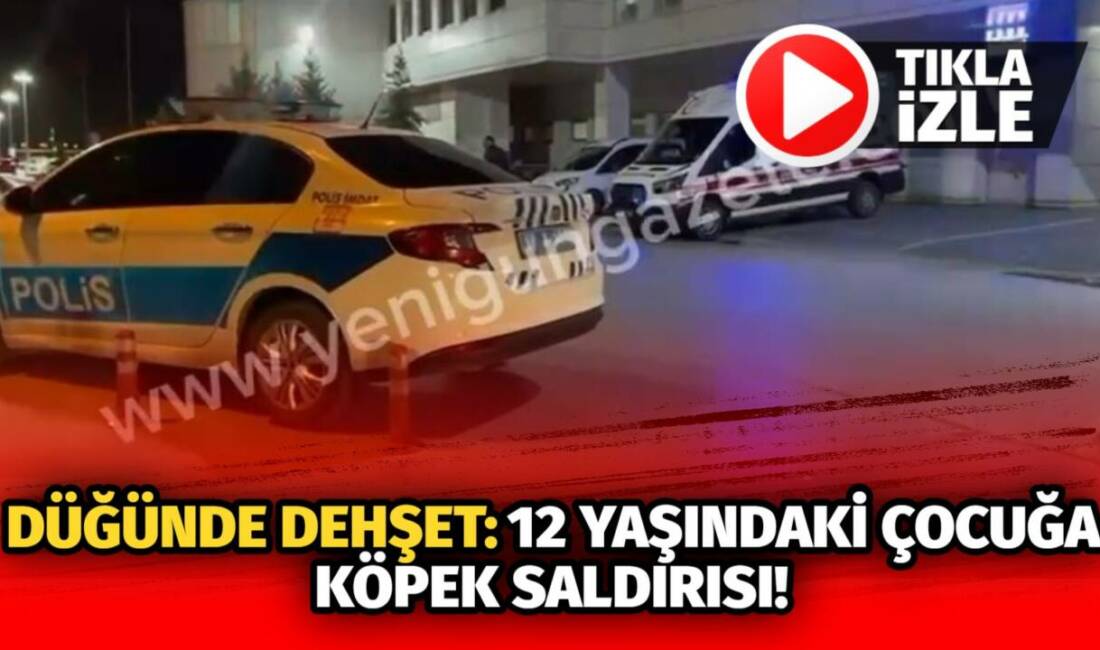 Güzelyurt Ihlara’da düğüne giden Yurdagül Kaygusuz, çoban köpeğinin saldırısına uğradı;