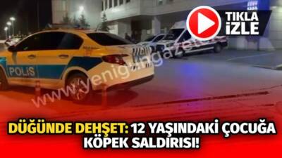 Güzelyurt Ihlara’da düğüne giden Yurdagül Kaygusuz, çoban köpeğinin saldırısına uğradı;