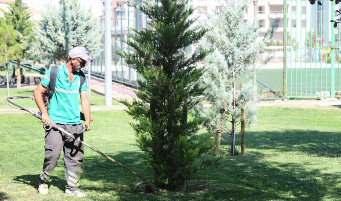 Aksaray Belediyesi şehrin birçok noktasında temizlik çalışması yürütmeye devam ediyor.
