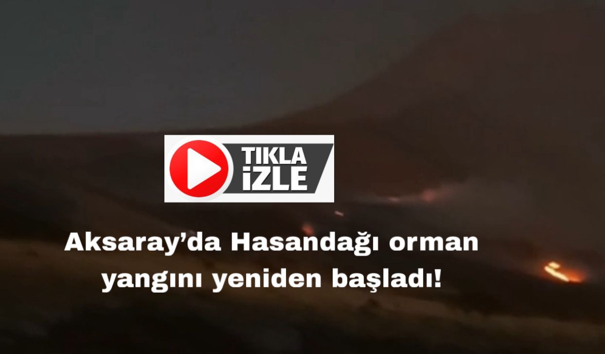 Dikmen ve Karacaören köyleri arasında çıkan yangın, rüzgarın etkisiyle ormanlık