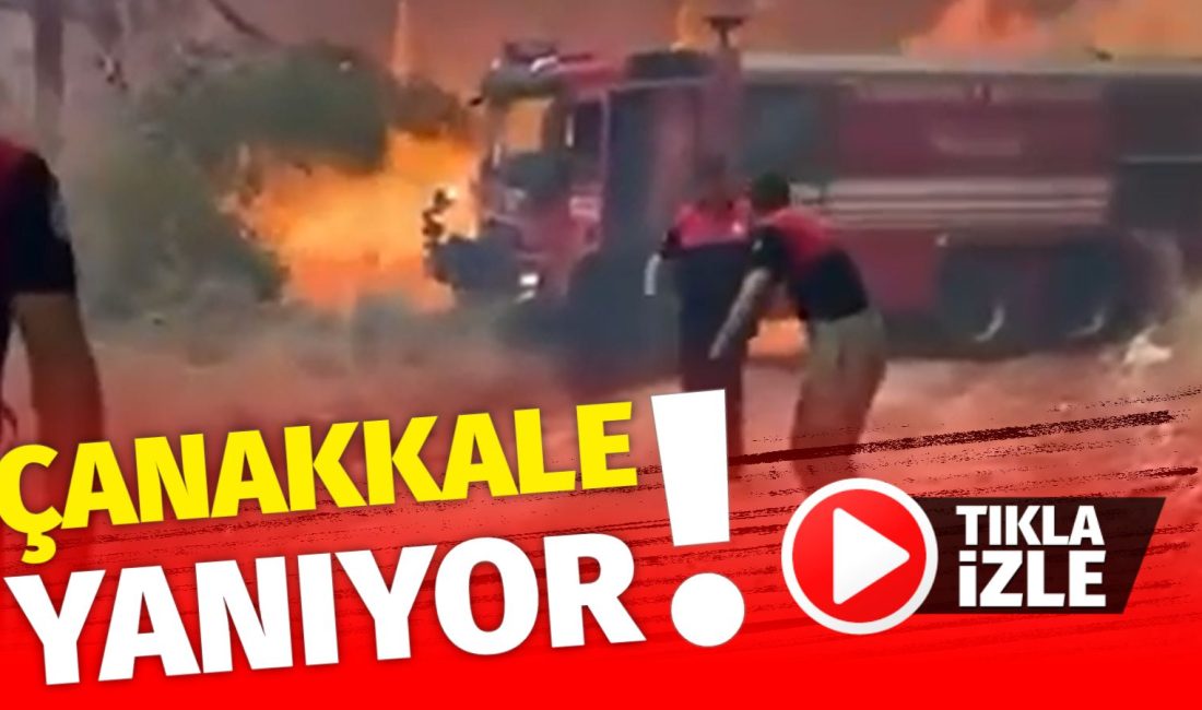 Çanakkale yanıyor! Yangın yerleşim alanlarını tehdit ediyor, kampüs ve yurtlar tahliye; hava