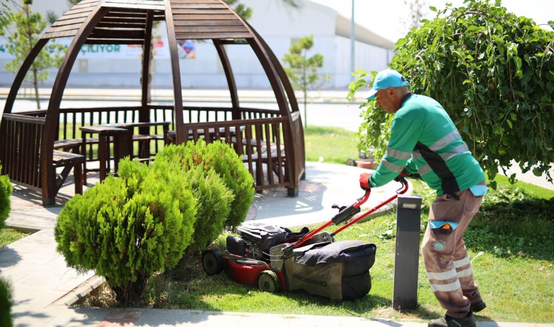 Aksaray Belediyesi, kentteki park ve bahçelerde yürüttüğü düzenli bakım faaliyetleriyle