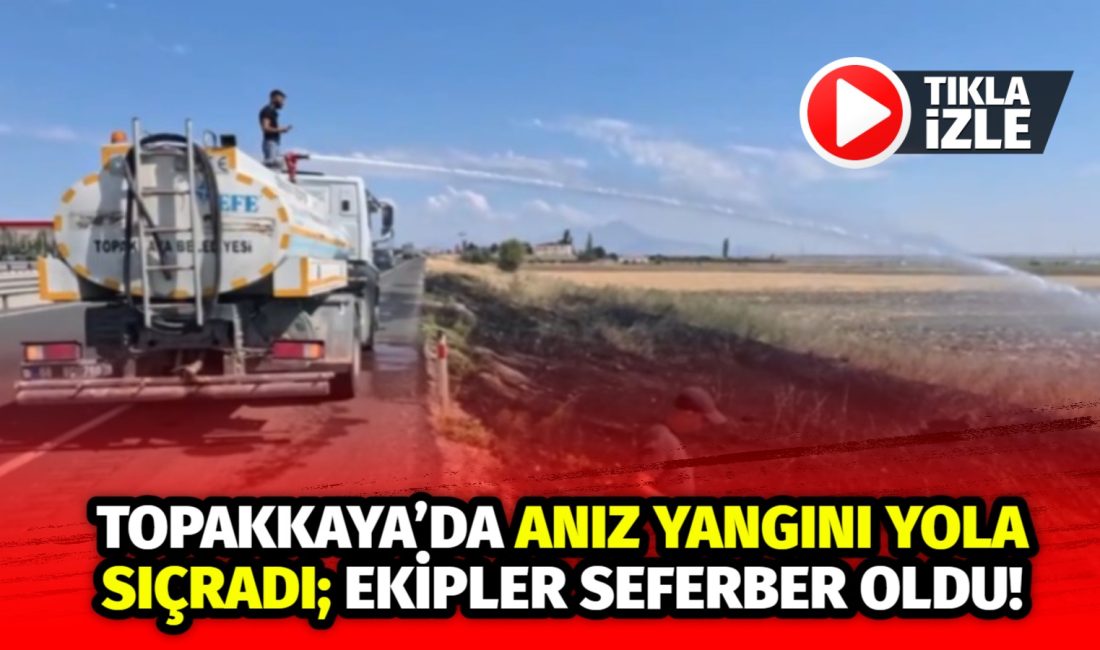 Aksaray merkeze bağlı Topakkaya’da çıkan anız yangını, yol kenarına sıçrayınca