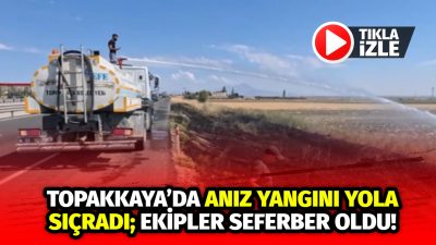 Aksaray merkeze bağlı Topakkaya’da çıkan anız yangını, yol kenarına sıçrayınca
