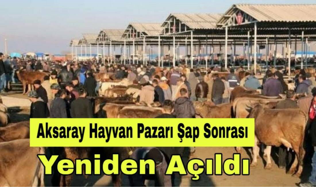 Şap hastalığı nedeniyle kapanan Aksaray Hayvan Pazarı, Tarım ve Orman