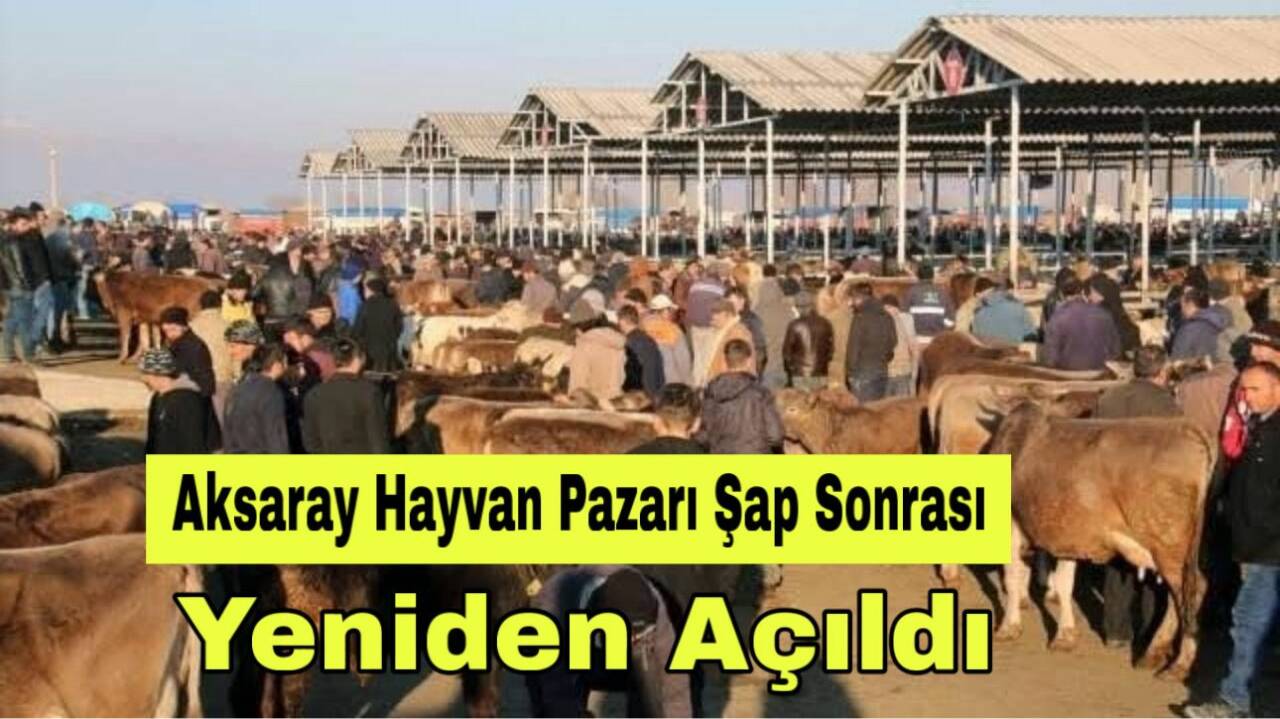 Şap hastalığı nedeniyle kapanan Aksaray Hayvan Pazarı, Tarım ve Orman