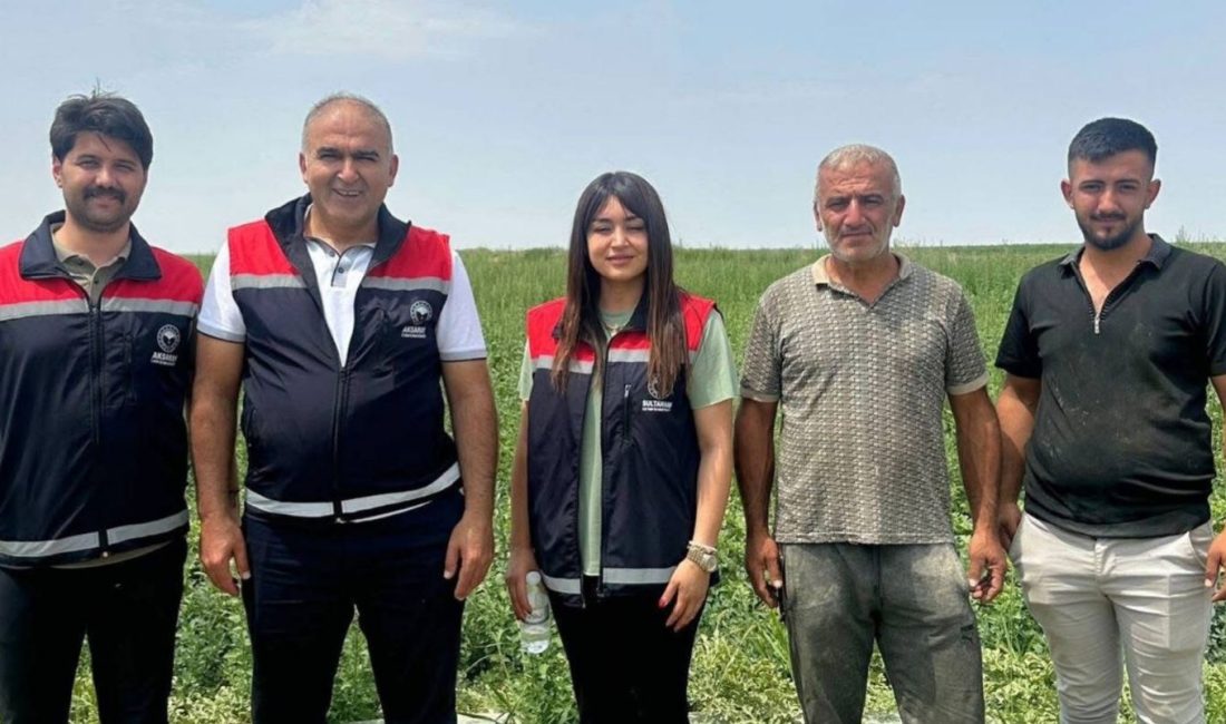 İl Müdürü Nejdet Demir, Sultanhanı’ndaki kavun ve karpuz tarlalarında ürün