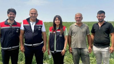 İl Müdürü Nejdet Demir, Sultanhanı’ndaki kavun ve karpuz tarlalarında ürün