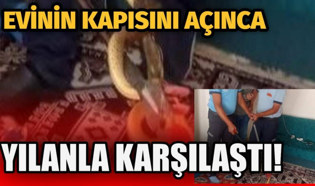 Aksaray’ın Hacıibrahimuşağı köyünde eve giren yılan, itfaiye ekiplerinin müdahalesiyle çıkarılarak