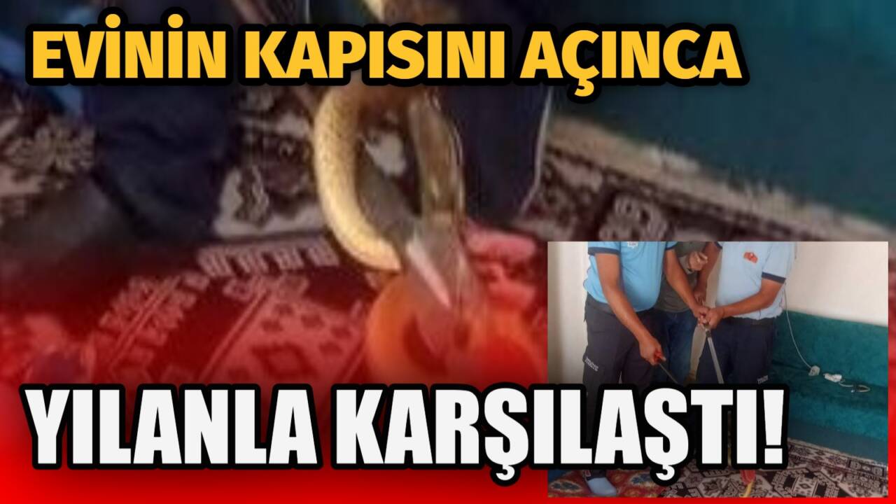Aksaray’ın Hacıibrahimuşağı köyünde eve giren yılan, itfaiye ekiplerinin müdahalesiyle çıkarılarak