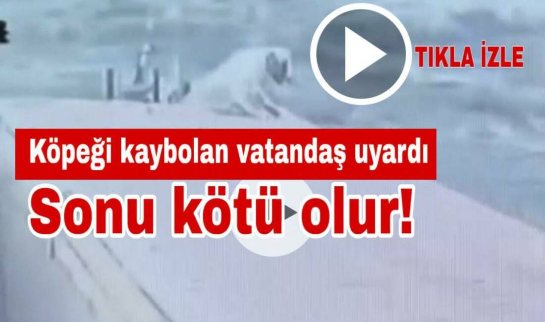 Aksaray’da bir vatandaşa ait köpeğin çalındığı iddia edildi. Köpek sahibi,