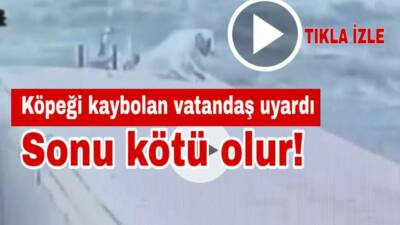 Aksaray’da bir vatandaşa ait köpeğin çalındığı iddia edildi. Köpek sahibi,