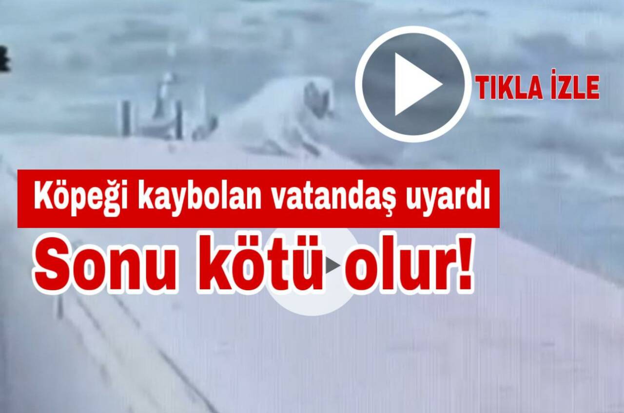 Aksaray’da bir vatandaşa ait köpeğin çalındığı iddia edildi. Köpek sahibi,