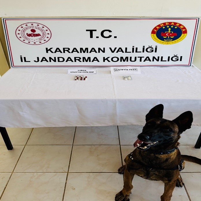 Karaman'da İl Emniyet Müdürlüğü ve İl Jandarma Komutanlığı ekipleri tarafından