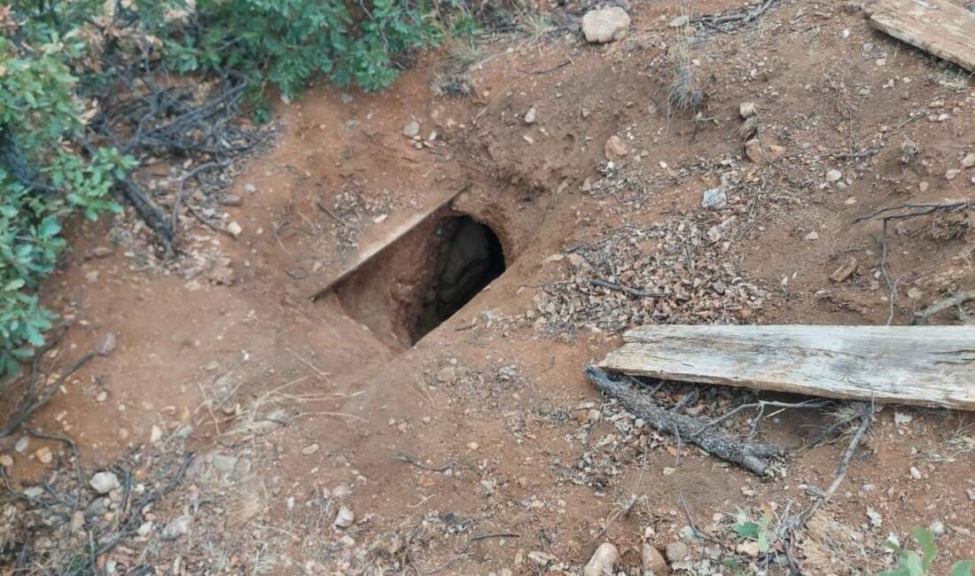 Yozgat'ın Sarıkaya ilçesinde Jandarma Komutanlığı ekipleri tarafından yapılan operasyonda izinsiz