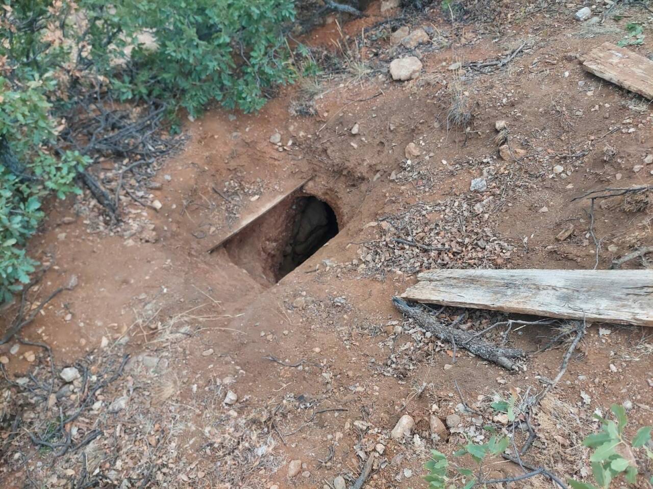 Yozgat'ın Sarıkaya ilçesinde Jandarma Komutanlığı ekipleri tarafından yapılan operasyonda izinsiz