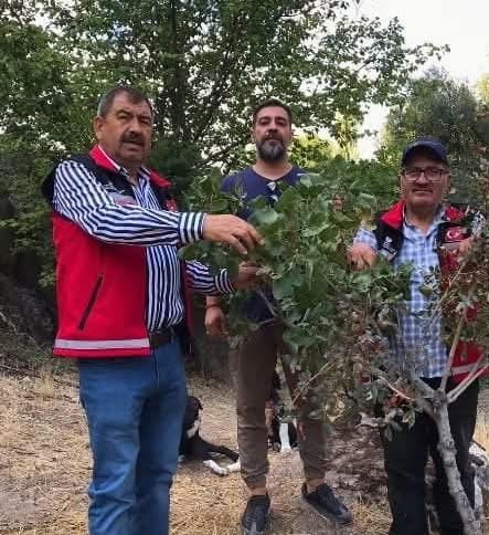 Aksaray’da Gaziantep Antepfıstığı Araştırma Enstitüsü ile Aksaray İl Tarım ve