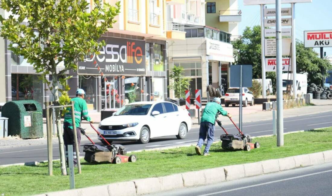 Aksaray Belediyesi, şehrin giriş ve çıkış noktalarında gerçekleştirdiği çevre düzenleme