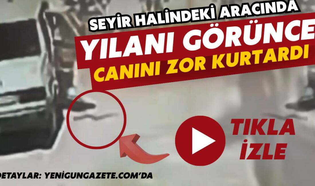 Dikmen Köyü’nde aracına binen Ahmet Şakar, aracında yılanı görünce panikle