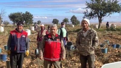 Aksaray Tarım ve Orman İl Müdürlüğü ekipleri, Hasandağı eteklerinde devam