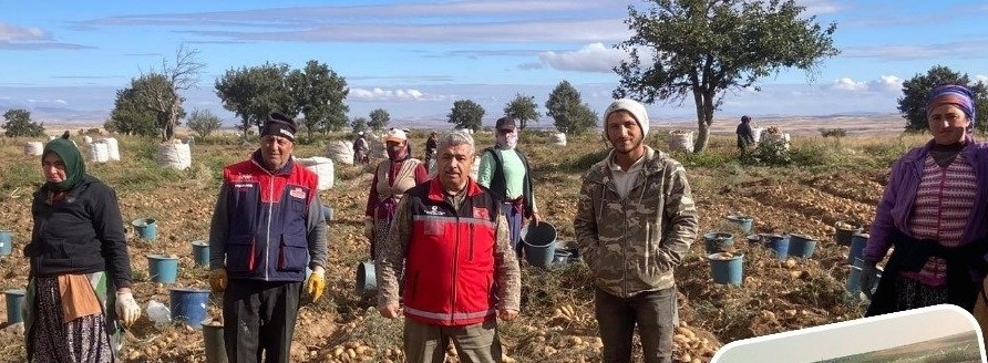 Aksaray Tarım ve Orman İl Müdürlüğü ekipleri, Hasandağı eteklerinde devam