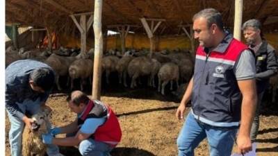Hayvancılık Genel Müdürlüğü ile Aksaray İl Tarım ve Orman Müdürlüğü