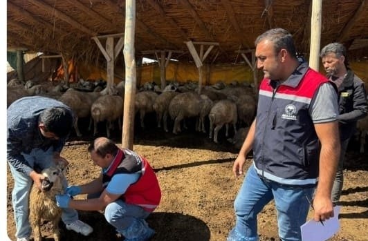 Hayvancılık Genel Müdürlüğü ile Aksaray İl Tarım ve Orman Müdürlüğü