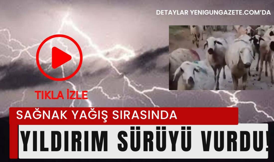 Aksaray’ın Eskil ilçesinde sağanak yağış sırasında sürüye yıldırım isabet etti.