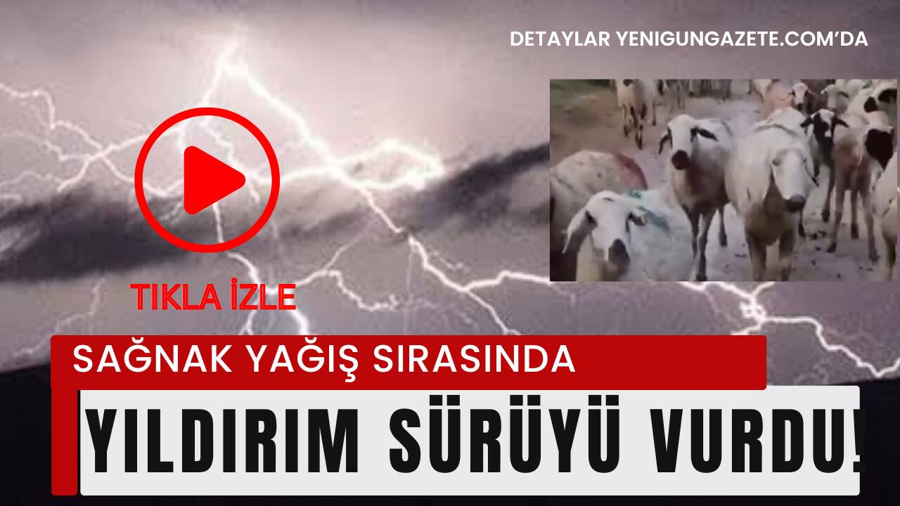 Aksaray’ın Eskil ilçesinde sağanak yağış sırasında sürüye yıldırım isabet etti.