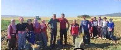 Aksaray’da patates hasadı döneminin başlamasıyla birlikte İl Tarım ve Orman