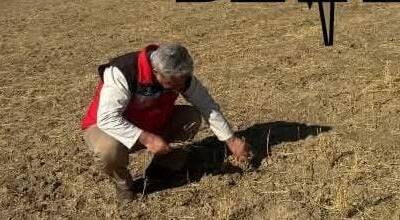 Aksaray İl Tarım ve Orman Müdürlüğü, kent genelindeki tarım arazilerinde