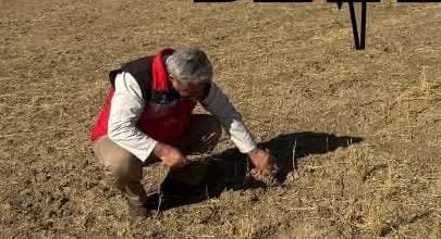 Aksaray İl Tarım ve Orman Müdürlüğü, kent genelindeki tarım arazilerinde