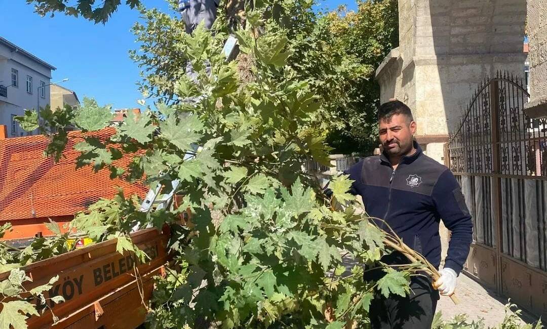 Ortaköy Belediyesi Park ve Bahçeler Müdürlüğü ekipleri tarafından  Plevne Mahallesi