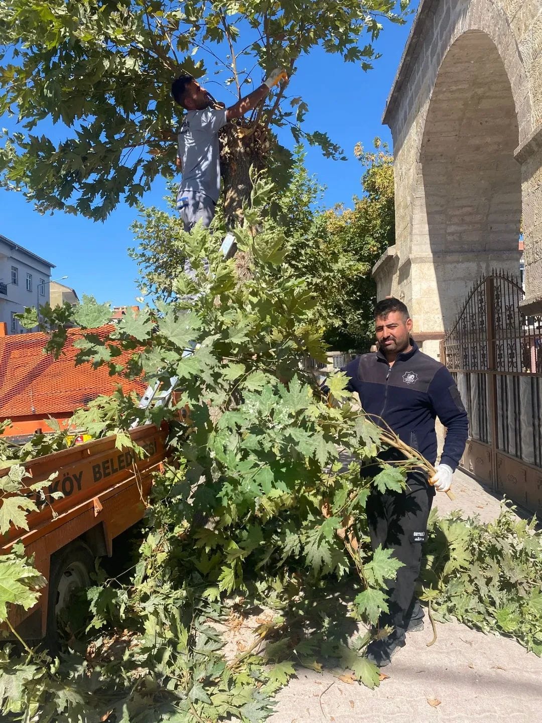 Ortaköy Belediyesi Park ve Bahçeler Müdürlüğü ekipleri tarafından  Plevne Mahallesi