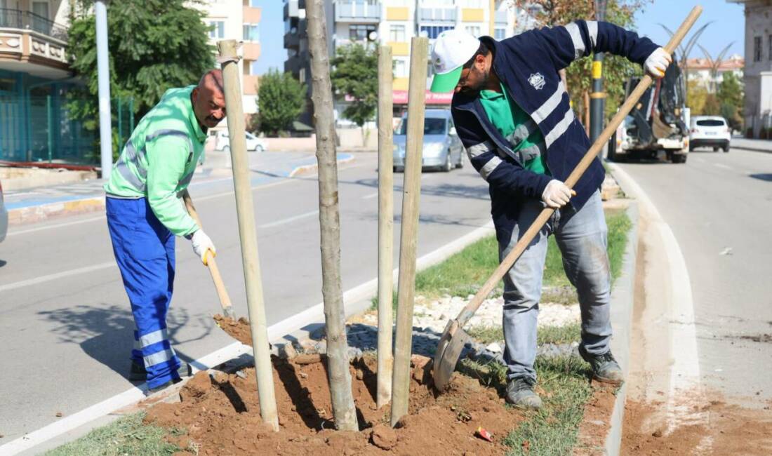 Aksaray Belediyesi, şehirde yeşil alanların artırılması ve çevrenin güzelleştirilmesi amacıyla