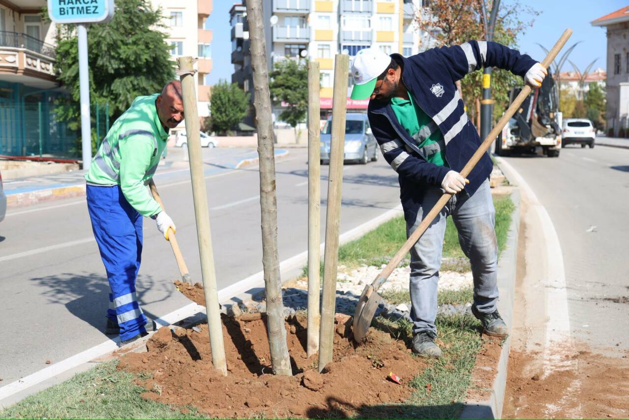 Aksaray Belediyesi, şehirde yeşil alanların artırılması ve çevrenin güzelleştirilmesi amacıyla