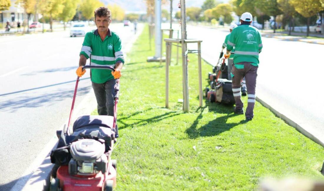 Aksaray Belediyesi, kentte çevre temizliği ve düzenini sağlamak için çalışmalarına