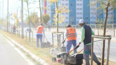 Aksaray Belediyesi, Üniversite yolu boyunca yaptığı peyzaj ve çim biçme