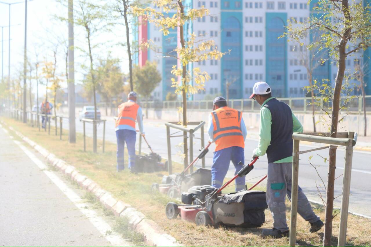 Aksaray Belediyesi, Üniversite yolu boyunca yaptığı peyzaj ve çim biçme