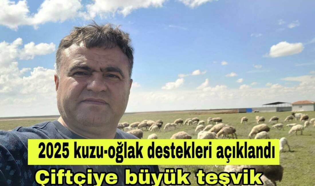 Kuzu-oğlak başına 300 TL temel destek verilecek, kadın ve genç