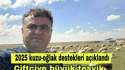 Kuzu-oğlak başına 300 TL temel destek verilecek, kadın ve genç