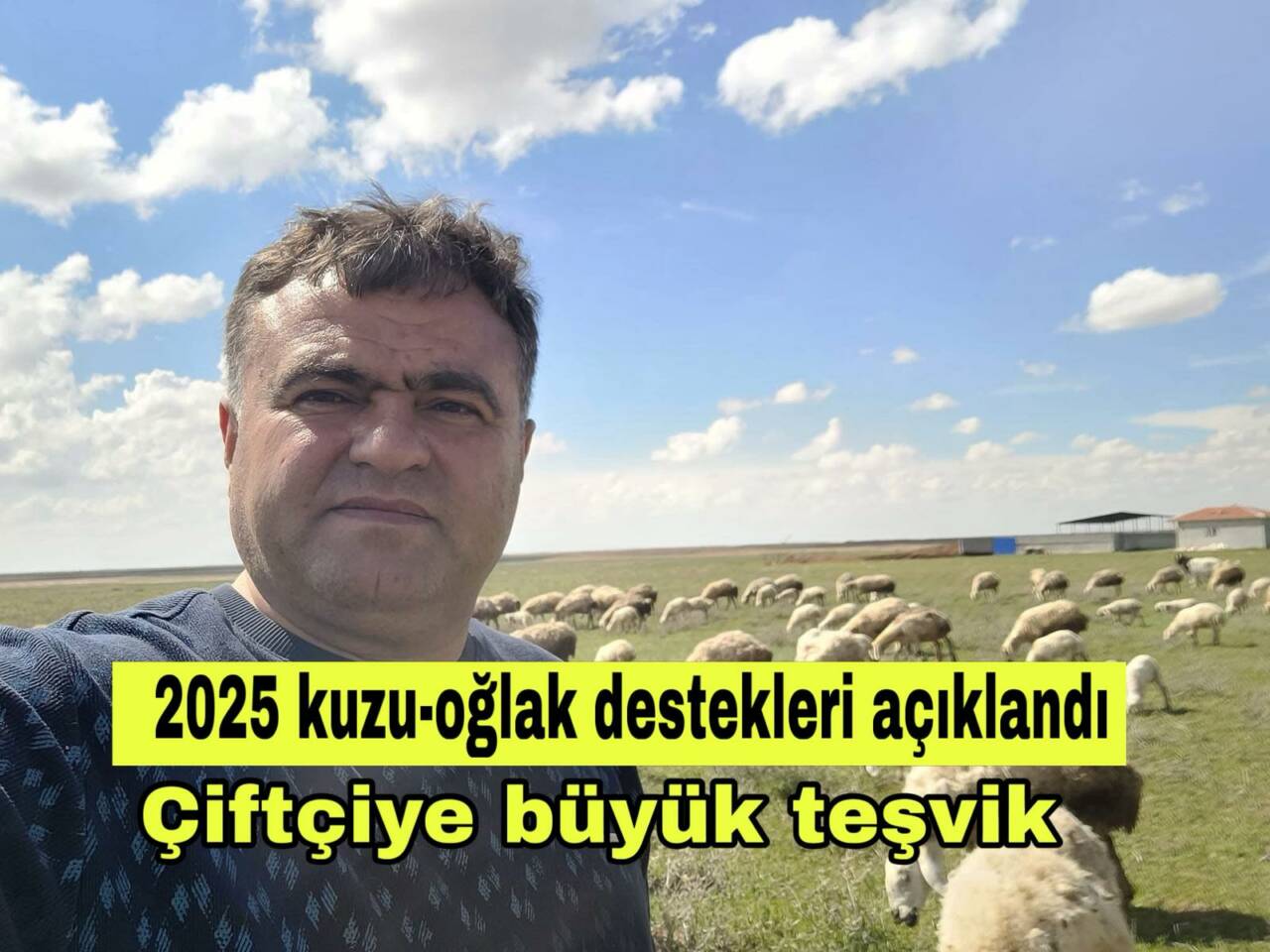 Kuzu-oğlak başına 300 TL temel destek verilecek, kadın ve genç