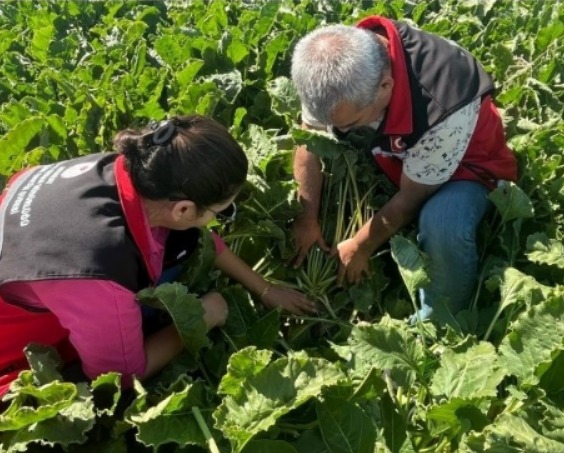 Aksaray Tarım ve Orman Müdürlüğü, Şeker Dairesi Başkanlığı talimatıyla, İncesu