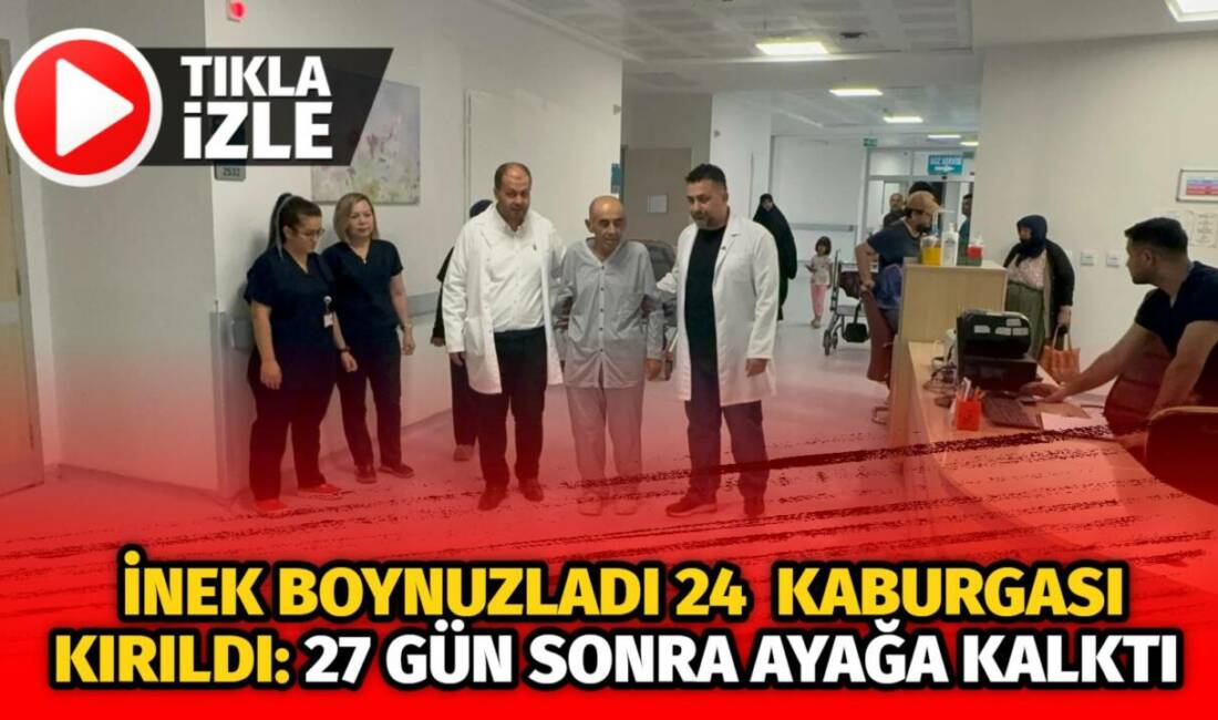 İneğin boynuzlamasıyla ağır yaralanan Özcan Sarısakal, 24 kaburgasının kırıldığı yelken